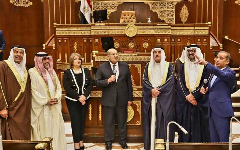 رئيس مجلس الشيوخ يستقبل رئيس مجلس النواب البحريني
