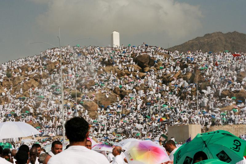 بوابة البرلمان