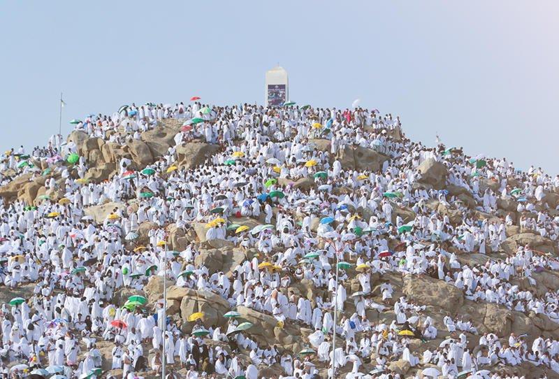 بوابة البرلمان