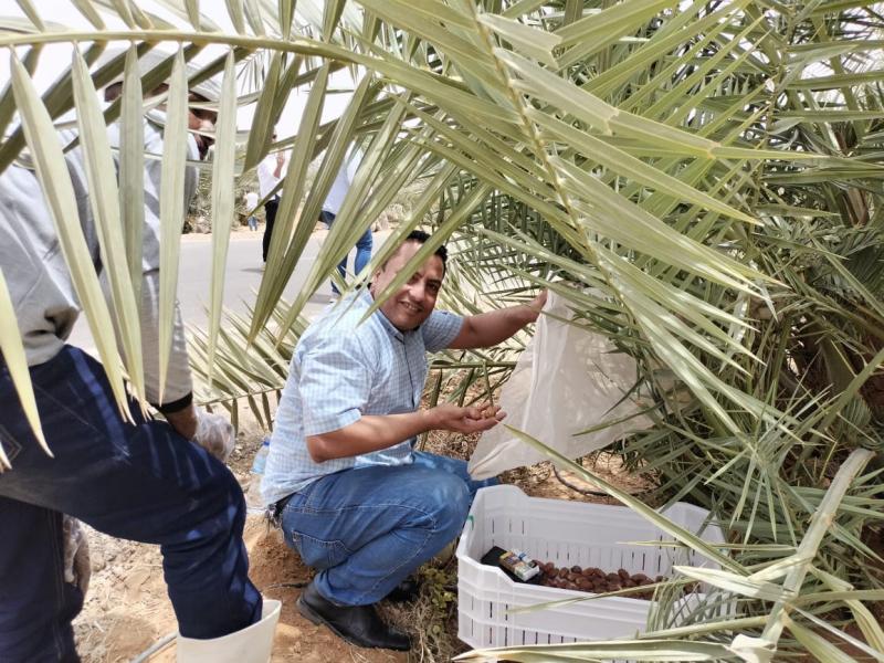 بوابة البرلمان